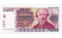 Billete Argentina 5000 Pesos 1984-1985 - Numisfila