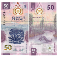 Billete Plástico Mexico 50 Pesos 2021  - Numisfila