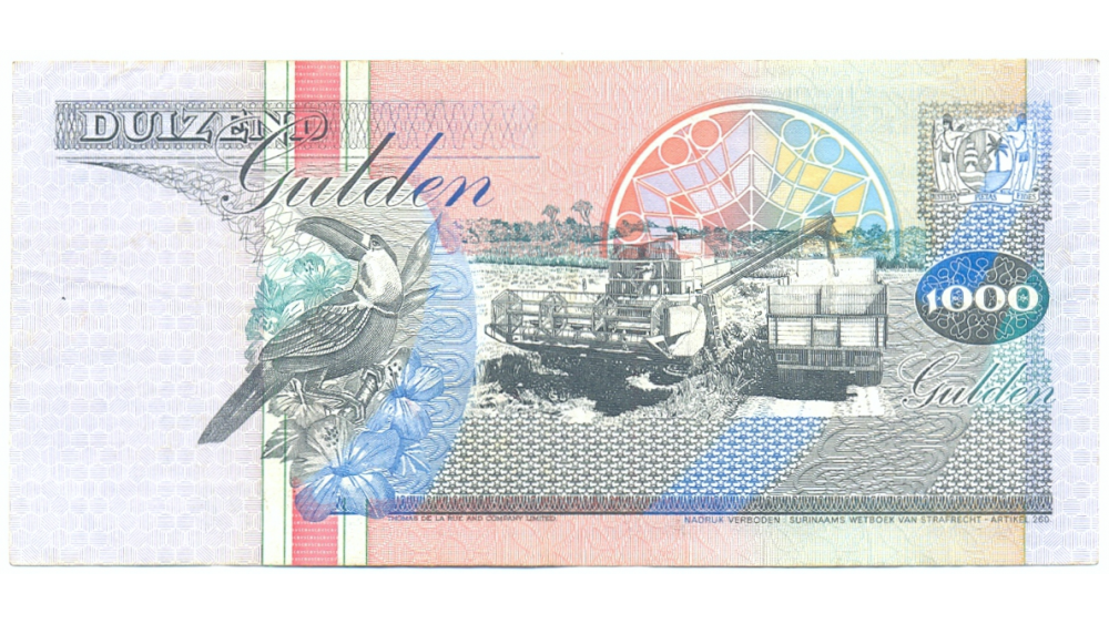 Billete Suriname 1.000 Gulden 1993 Tucan  - Numisfila