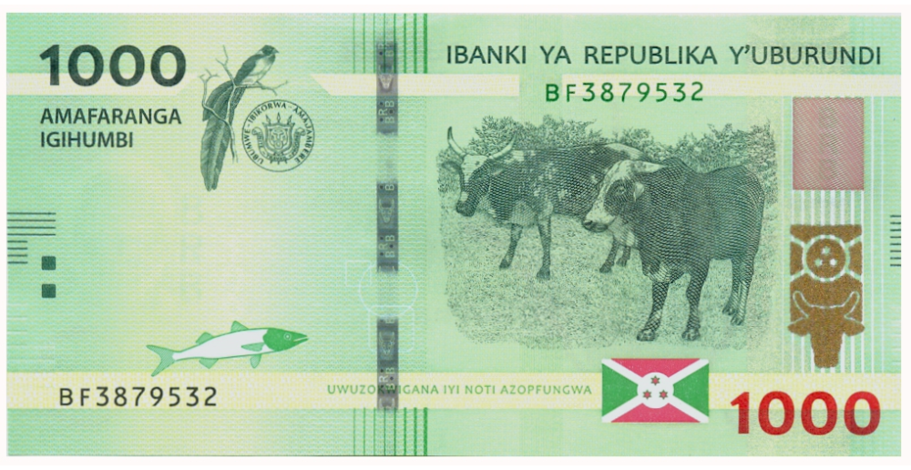 Billete Híbrido Burundi 1.000 Francs 2021 (2022) Vacas - Numisfila