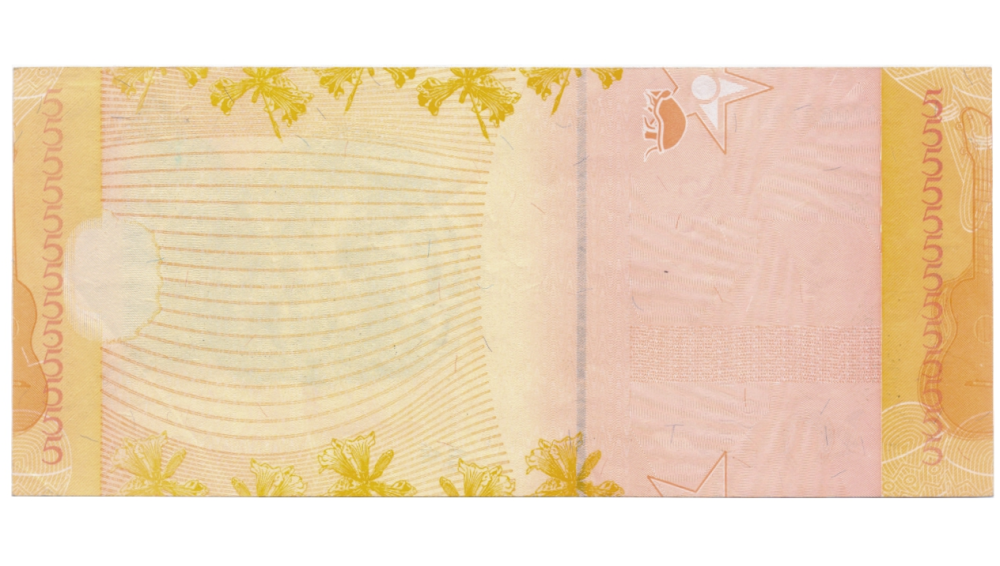 Falla Impresión en Reverso Billete 5 Bolívares 2011 M8 Serial M07269768 - Numisfila