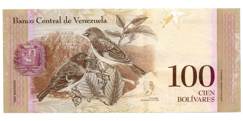 Error Billete 100 Bolívares 2013 Doble Serial BV27660081 y BV29900000  - Numisfila