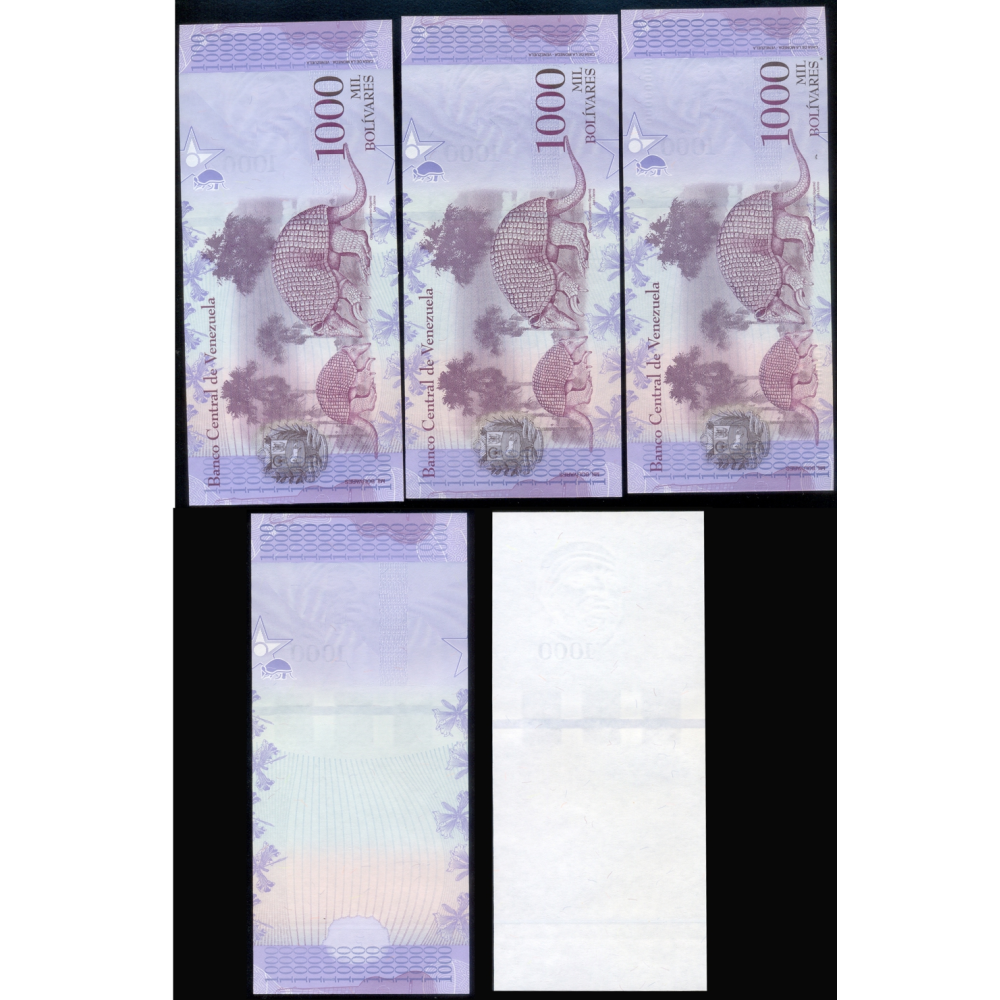 Set 5 Pruebas Progresivas Impresión Billete 10000 Bolívares 2017  - Numisfila