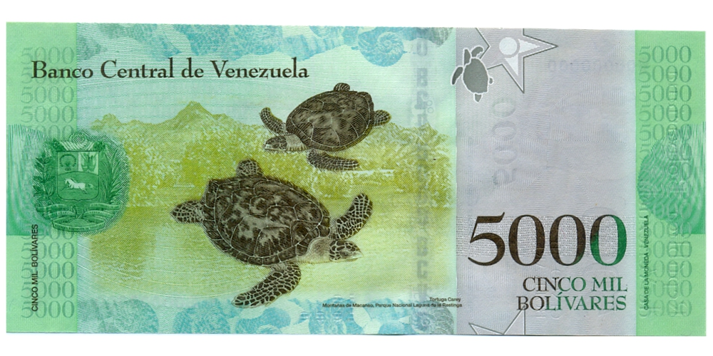 Billete Espécimen o Muestra Sin Sello 5000 Bolívares 2016  - Numisfila