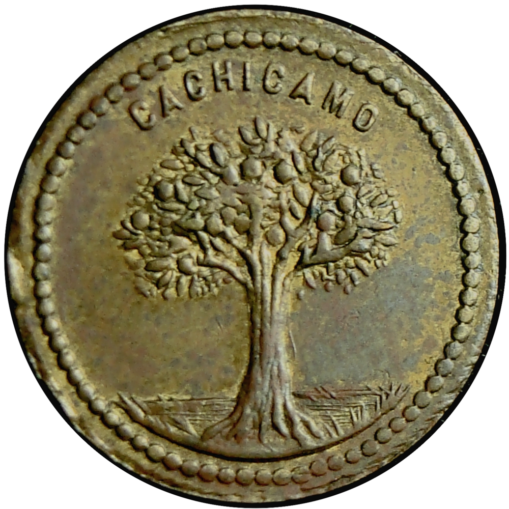 Ficha Cachicamo Román Gonzáles ½ Real - Numisfila