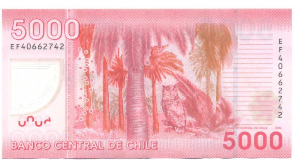 Billete Polímero Chile 5000 Pesos 2014 Gabriela Mistral  - Numisfila
