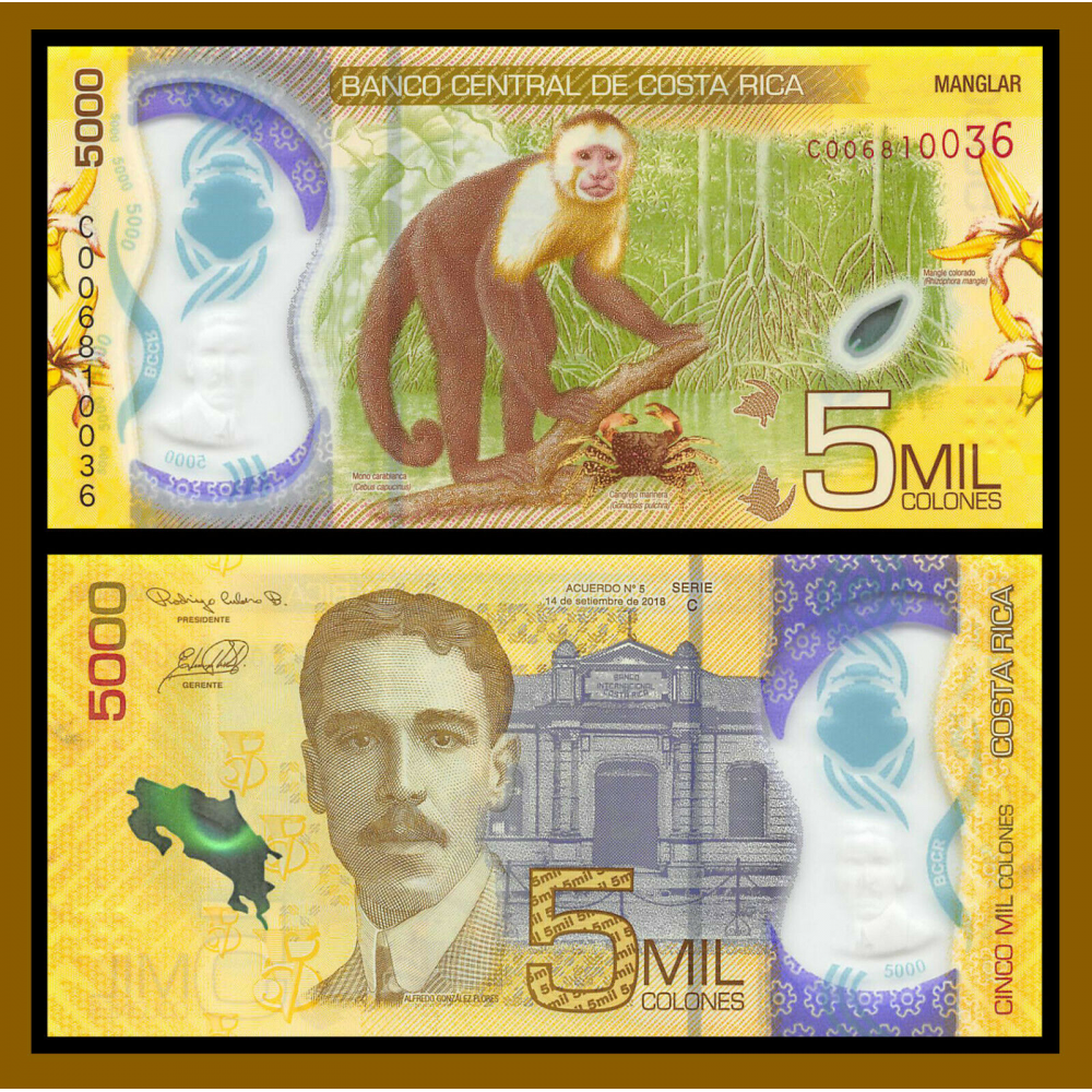 Billete Plástico Costa Rica 5.000 Colones  2018-2020  - Numisfila