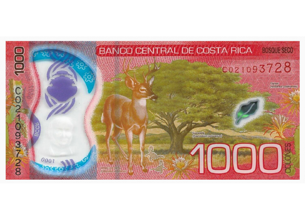 Billete Plástico Costa Rica 1000 Colones 2019-21 Braulio Carrillo Colina   - Numisfila