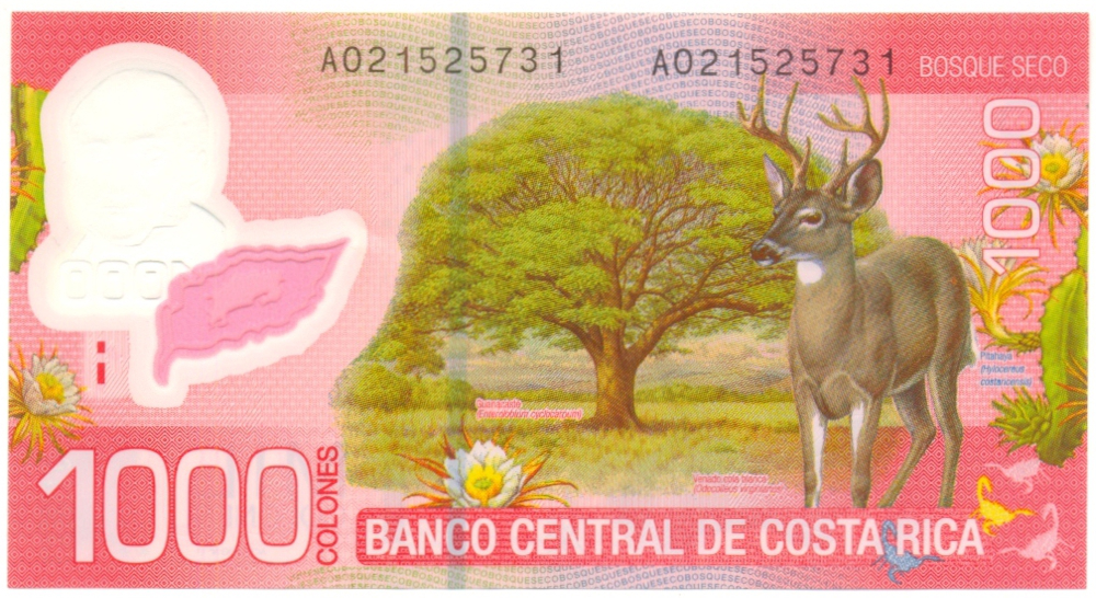 Billete Plastico Costa Rica 1.000 Colones 2009 Venado  - Numisfila