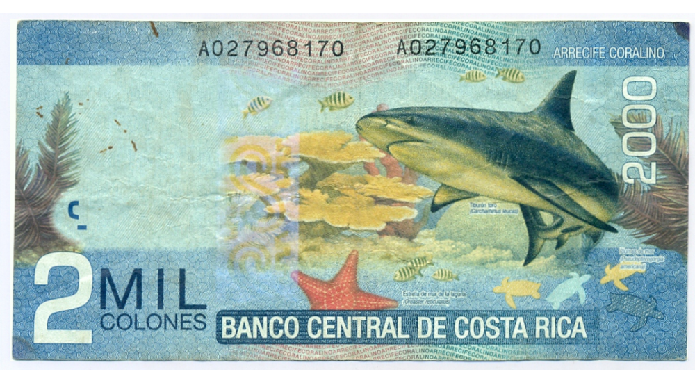 Billete Costa Rica 2000 Colones 2009 Tiburon Toro  - Numisfila