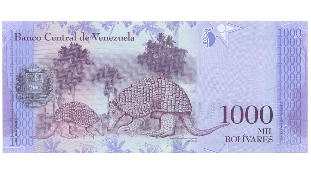 Prueba Billete 1000 Bolívares Marzo 2017 Serial N0000000      - Numisfila