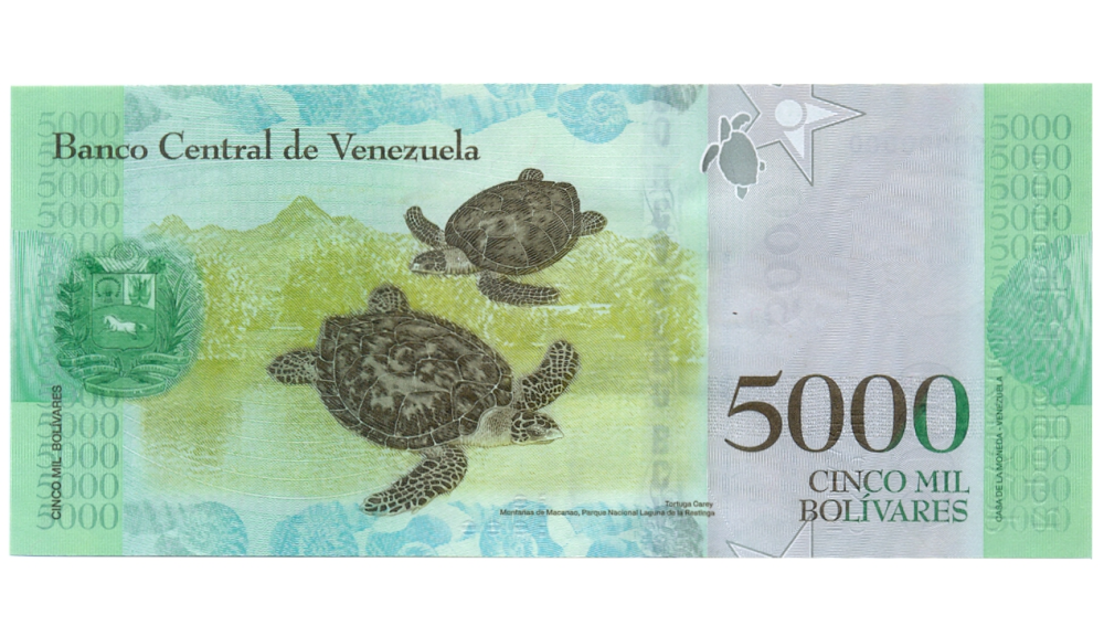 Billete Especimen o Muestra Sin Sello 5000 Bolívares 2016  - Numisfila