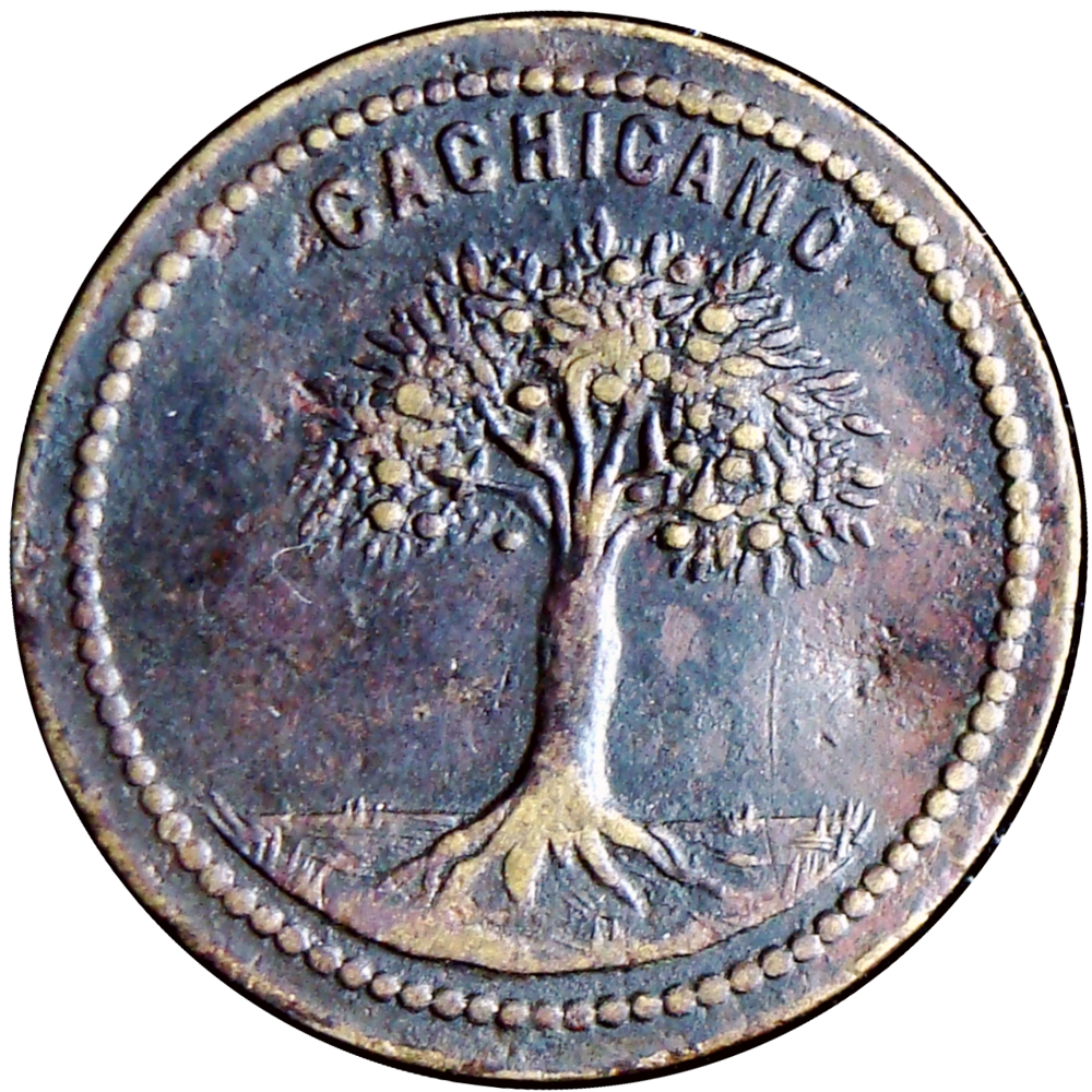 Ficha Cachicamo Román Gonzáles Real - Numisfila