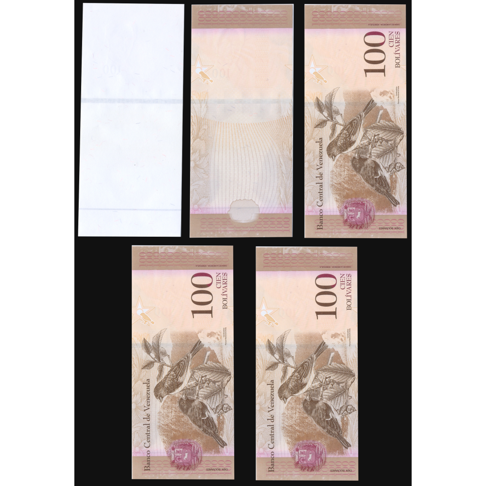 Set 5 Pruebas Progresivas Billete 100 Bolívares 2014  - Numisfila