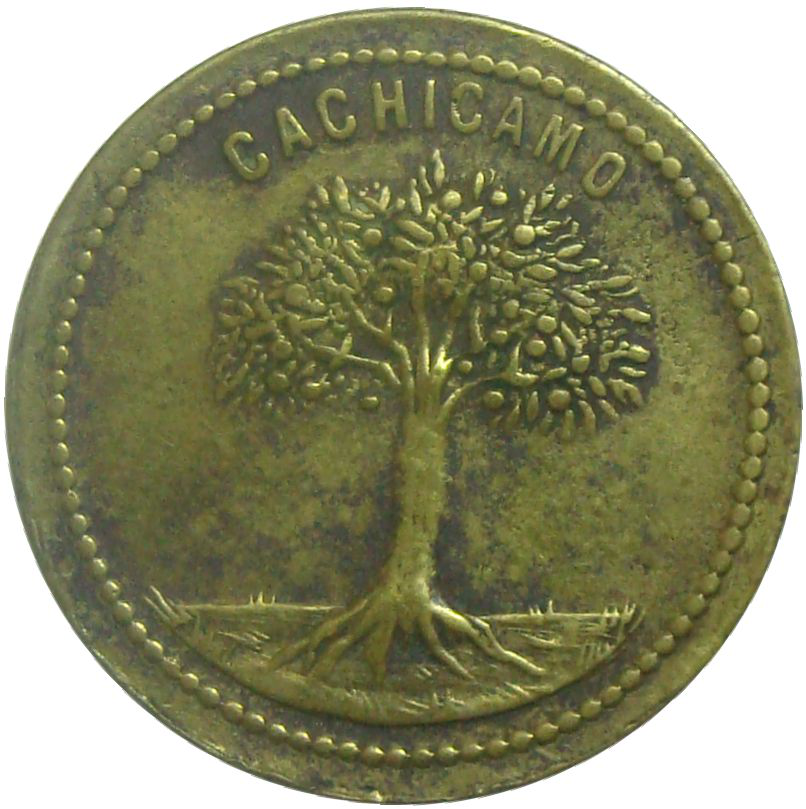 Ficha Cachicamo Roman Gonzales 1 Real  - Numisfila