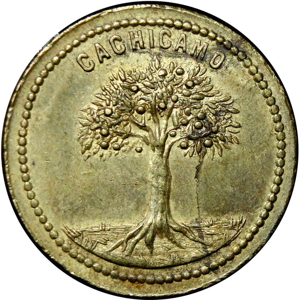 Venezuela Ficha Cachicamo Román Gonzáles 1 Real  - Numisfila