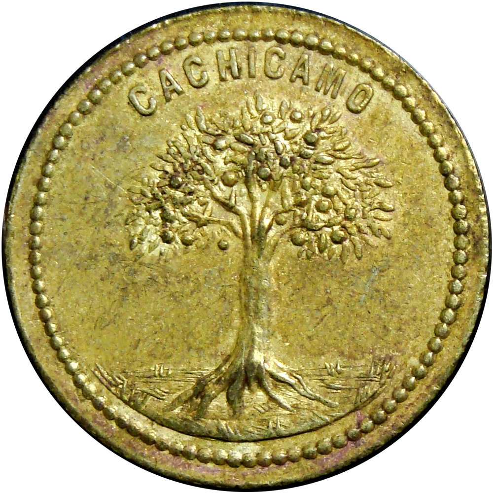 Venezuela Ficha Cachicamo Román Gonzáles 1 Real - Numisfila