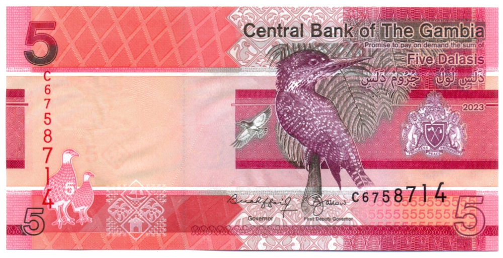 Billete Gambia 5 Dalasis 2023 -  Martín pescador gigante - Numisfila