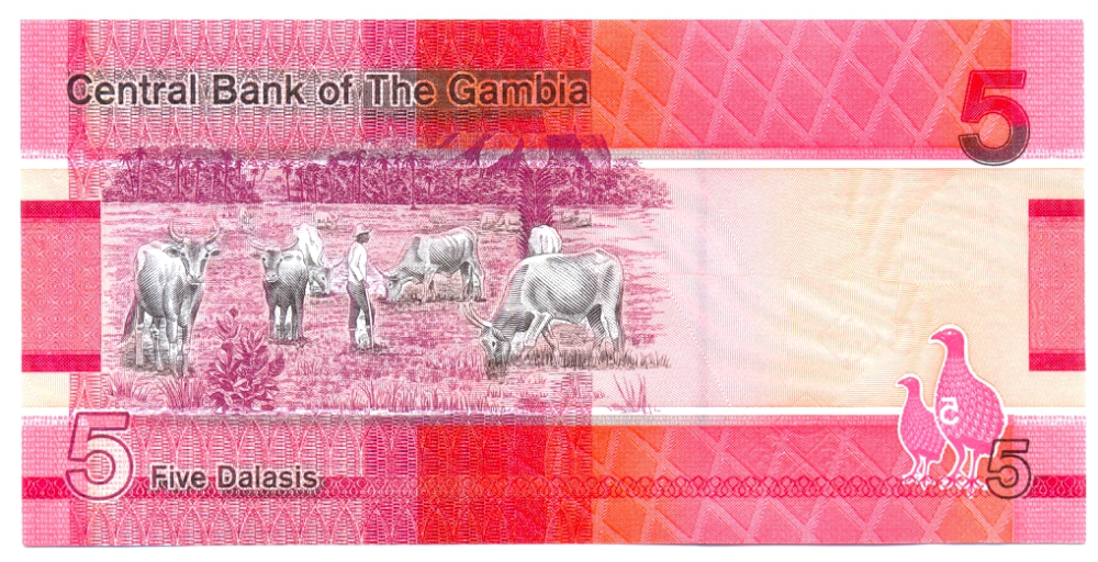 Billete Gambia 5 Dalasis 2023 -  Martín pescador gigante  - Numisfila
