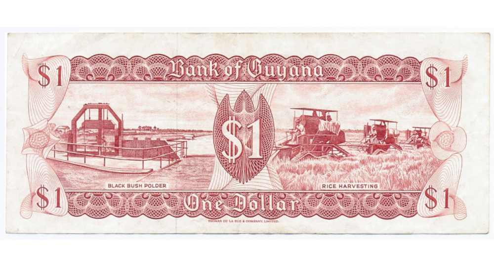 Billete Guyana 1 Dólar 1992 Kaieteur Falls  - Numisfila