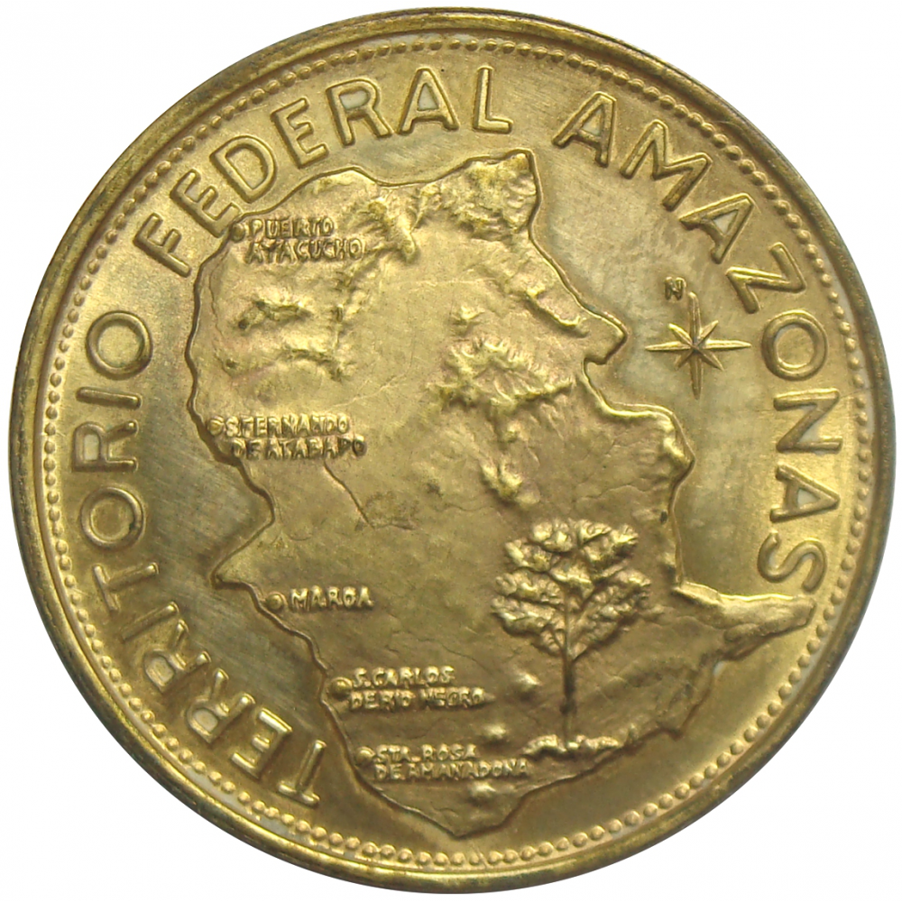 Medalla Territorio Federal Amazonas 9 dineros Estados de Venezuela Italcambio  - Numisfila