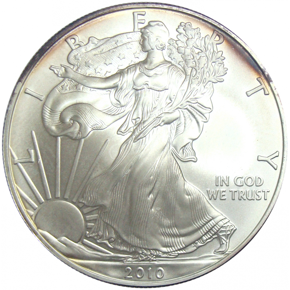 Moneda EE.U.U. Dolar 2010 American Eagle Plata  - Numisfila