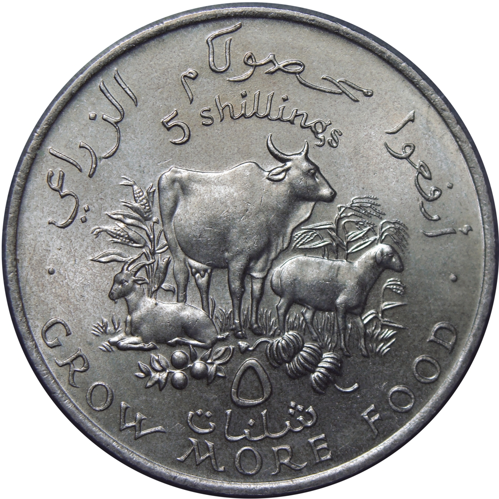 Somalia Republica Democrática 5 Shillings 1970 FAO - Numisfila