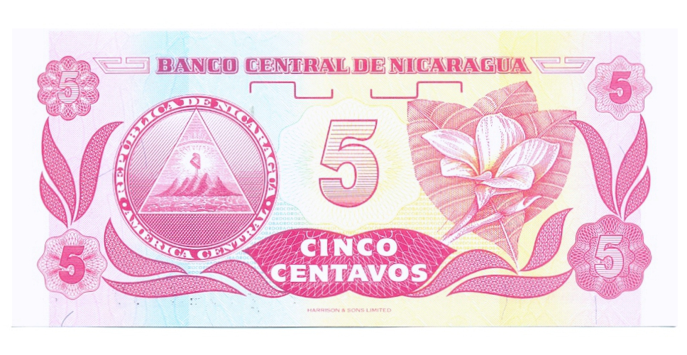 Billete Nicaragua 5 Centavos de Cordoba 1991 Francisco Hernández de Córdoba  - Numisfila