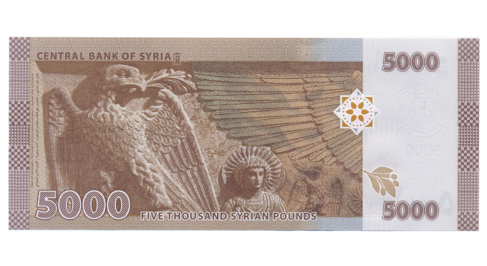 Billete Siria 5000 Pounds 2023   - Numisfila