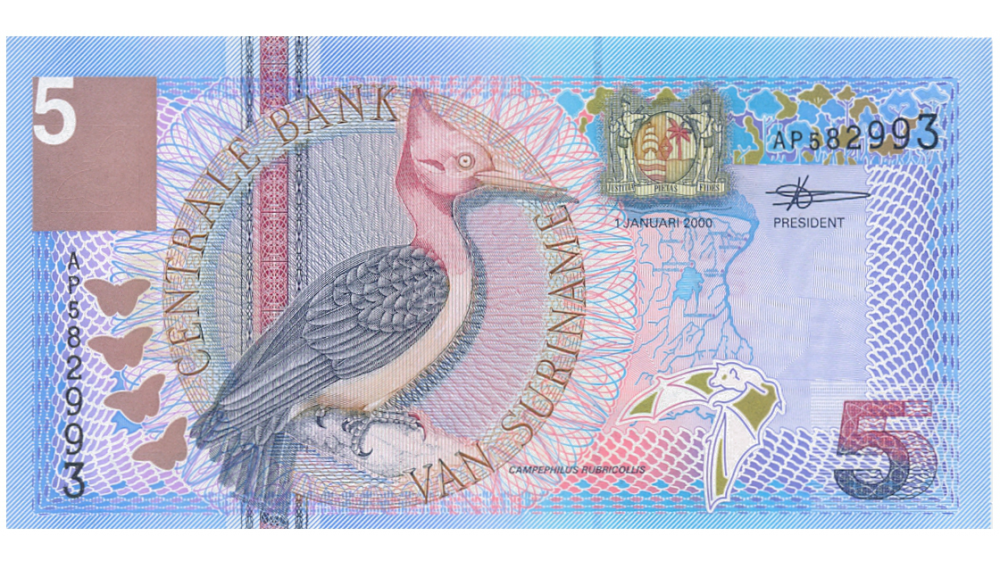 Billete Suriname 5 Gulden 2000   - Numisfila