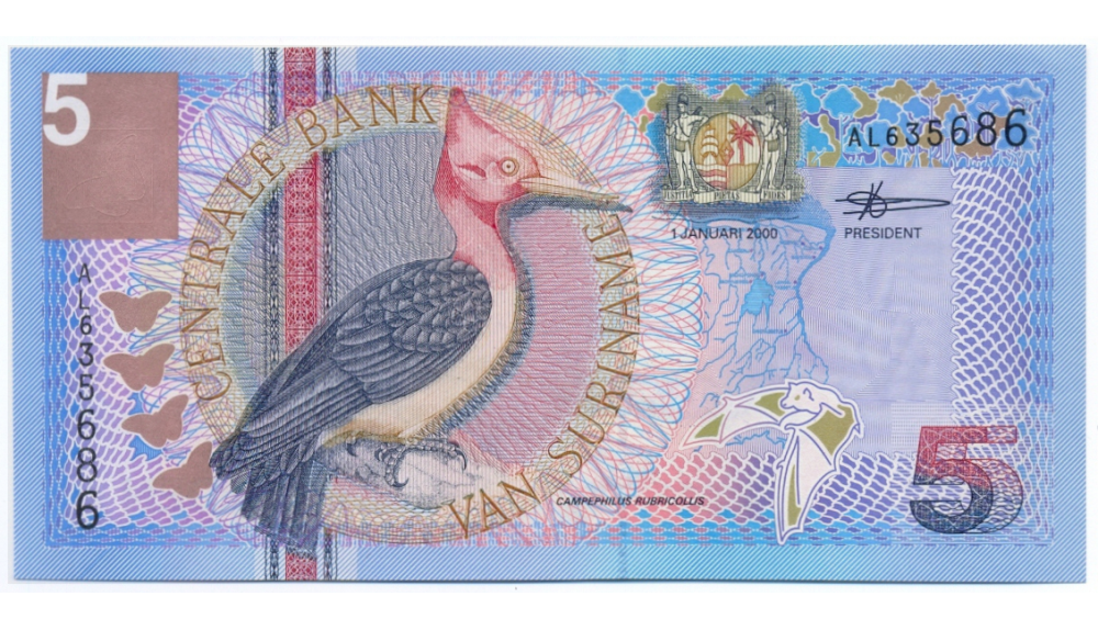 Billete Suriname 5 Gulden 2000 Pajaro Carpintero - Numisfila