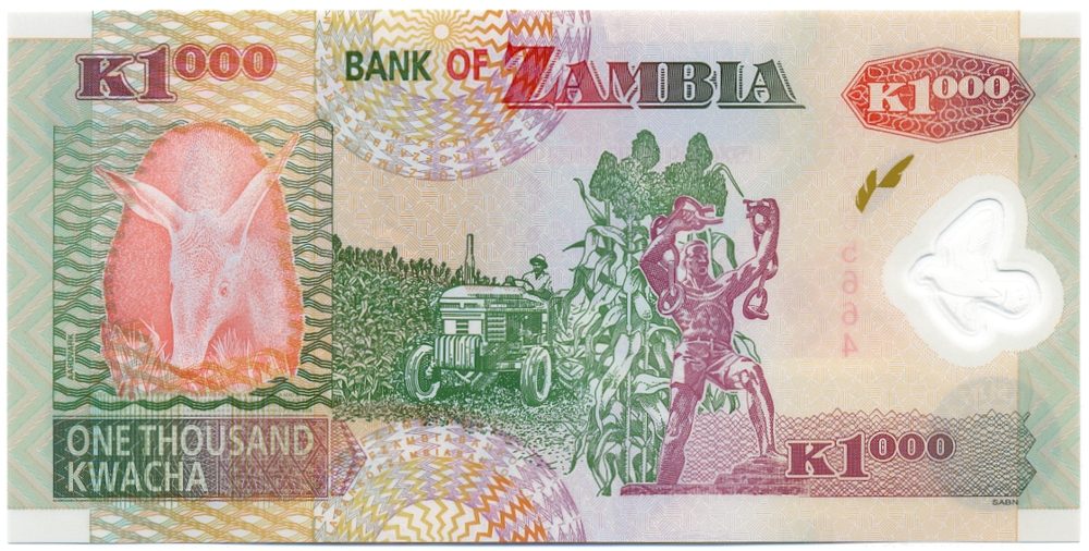 Billete Plastico  Zambia 1000 Kwacha 2008  - Numisfila