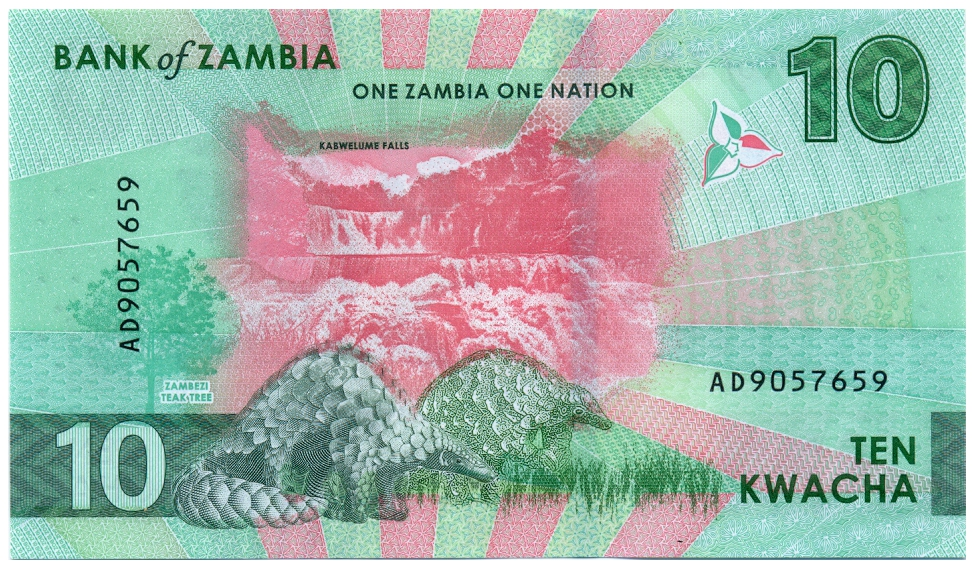 Billete Zambia 10 Kwacha 2024 - Aguila Pescadora   - Numisfila