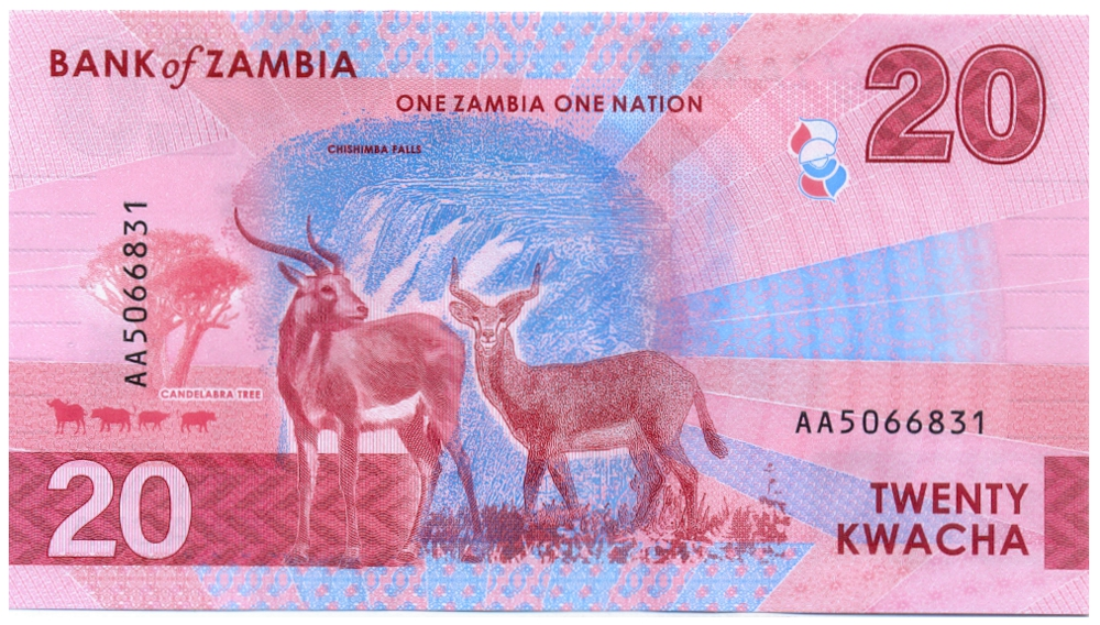 Billete Hibrido Zambia 20 Kwacha 2024-2025   - Numisfila